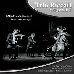 Piano Trio No. 1 in D Minor, Op. 49: I. Molto allegro - Agitato