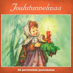 Varpunen jouluaamuna