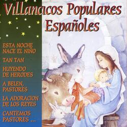 Voy Cantar