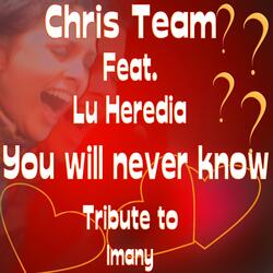 You Will Never Know (Karaoke Version)
