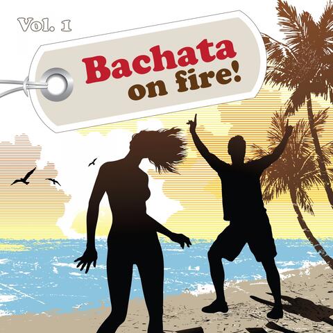 Bachata On Fire!, Vol. 1