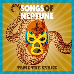 Tame the Snake