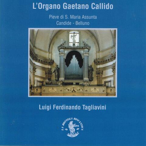 L'organo Gaetano Callido (1797 - 1799)