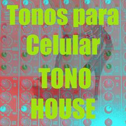 Tono House