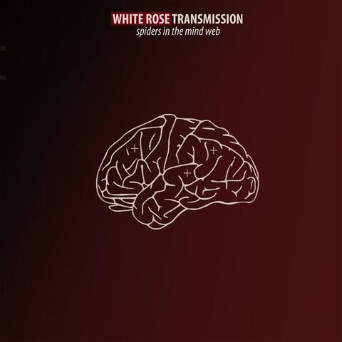 White Rose Transmission