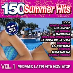 Summer Hits: Latin Megamix Non Stop