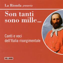Garibaldi fu ferito