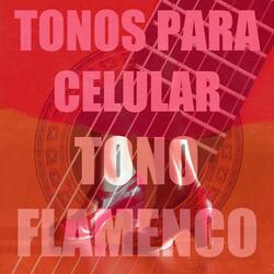Tono Flamenco