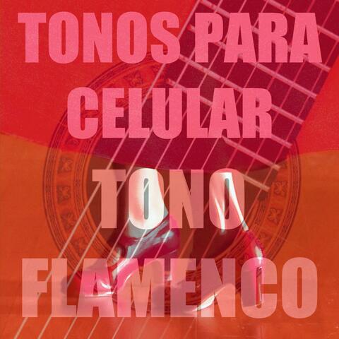 Tono Flamenco