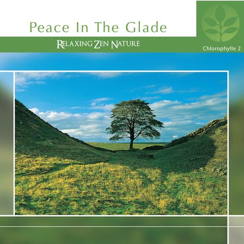 Chlorophylle II Peace in the Glade