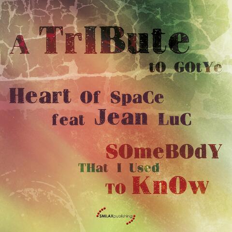 Somebody That I Used to Know: A Tribute to Gotye
