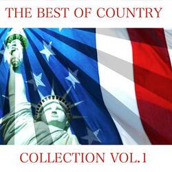 Silver Stars, Purple Sage, Eyes of Blue