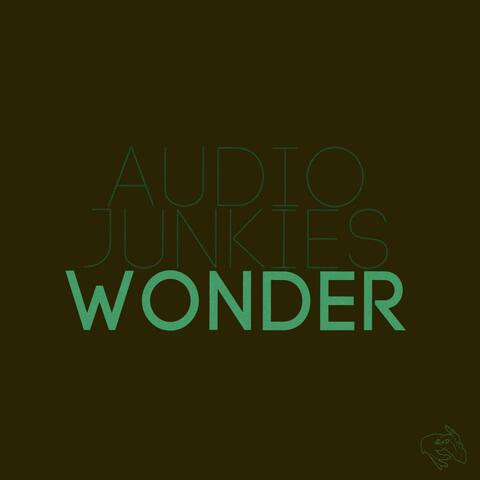Wonder