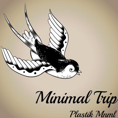 Minimal Trip