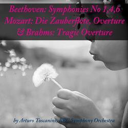 Symphony No. 1 in C Major, Op. 21: III. Menuetto, Allegro molto e vivace