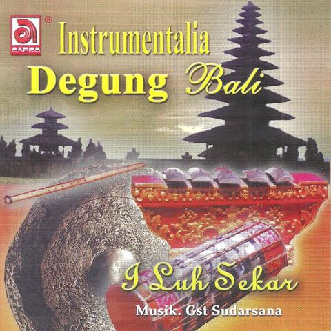 Instrumentalia Degung Bali