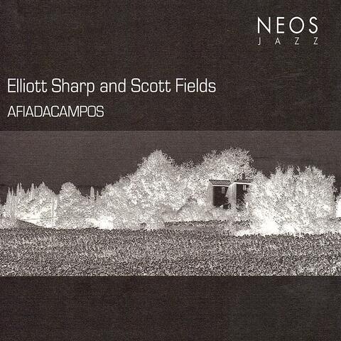 Scott Fields, Elliott Sharp