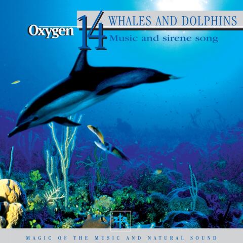 Oxygen 14: Whales and Dolphins
