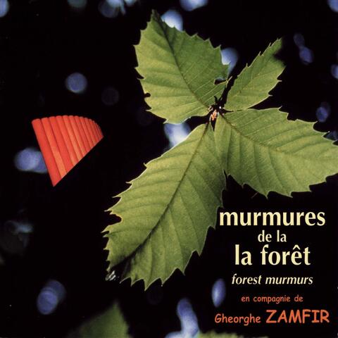 Murmures de la forêt (Forest Murmurs)