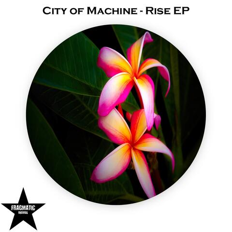 Rise