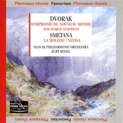 Symphonie n°9 en mi mineur, Op. 95 du nouveau monde: Allegro con fuoco