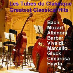 Ouverture No.2 in B Minor, BWV 1067 : X. Badinerie