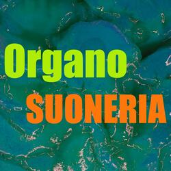 Suoneria organo