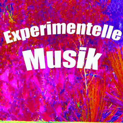 Experimentelle musik