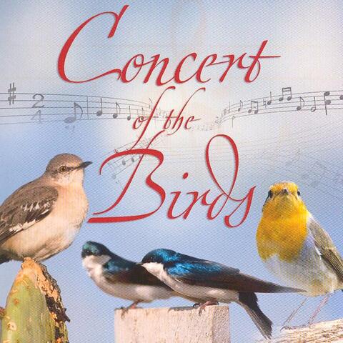 Concert Of The Birds