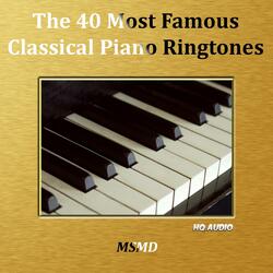Prelude and Fugue, No. 1, in C Major : Well Tempered Clavier