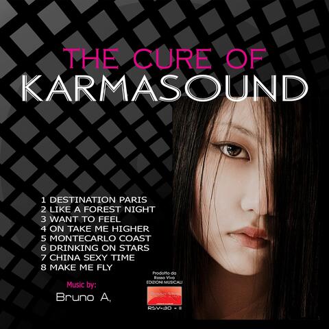 The Cure of Karmasound