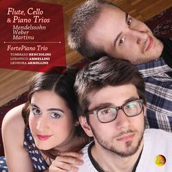 Trio for Flute, Cello and Piano: III. Andante - Allegro scherzando