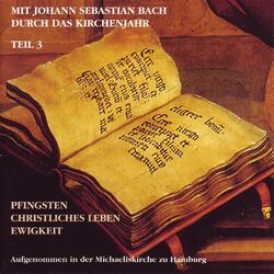 Ich Ruf Zu Dir, Herr Jesu Christ