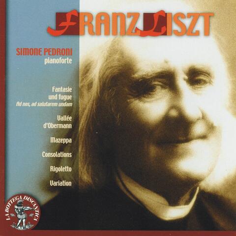 Franz Liszt: Fantasie und fugue, Vallée d'Obermann, Mazeppa, Consolations, Rigoletto & Variation