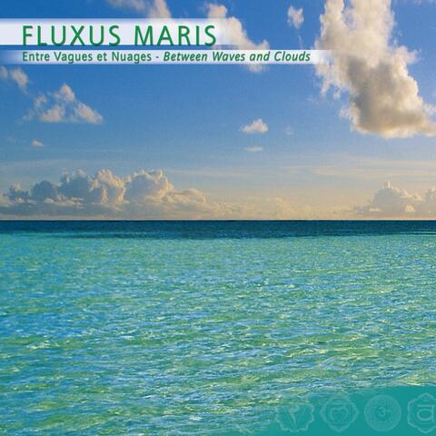 Prana: Fluxus Maris, Entre Vagues Et Nuages