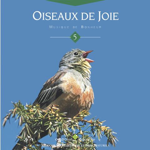 Emeraude: oiseaux de joie