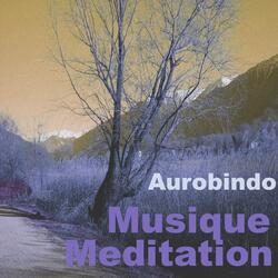 Musique méditation