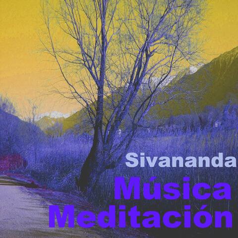 Música Meditación