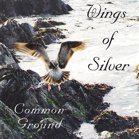 Wings of Silver