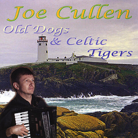 Old Dogs And Celtic Tigers