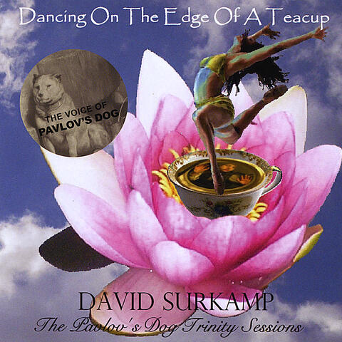Dancing On The Edge Of A Teacup