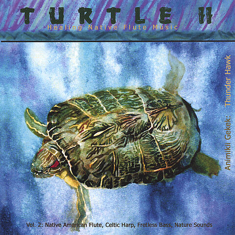 Turtle II Healing Native Flute Music