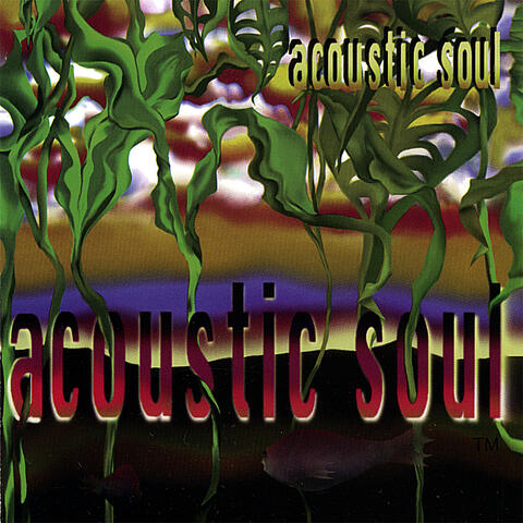 Acoustic Soul
