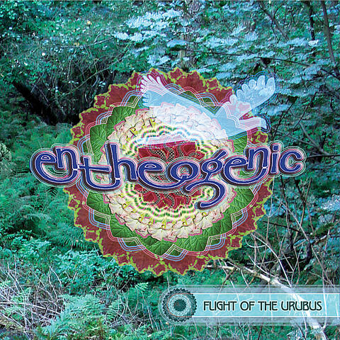 Flight Of The Urubus