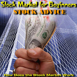 What Is Your Role As a Stockholder?