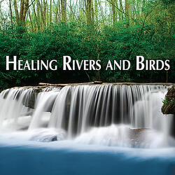 Boreal Cricket and River Sounds for Zen Meditating, Deep Breathing, Dreaming