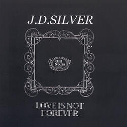 Love Is Not Forever (live version)