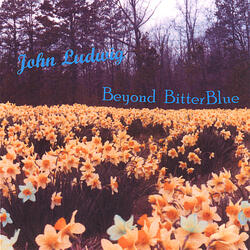 Beyond Bitterblue