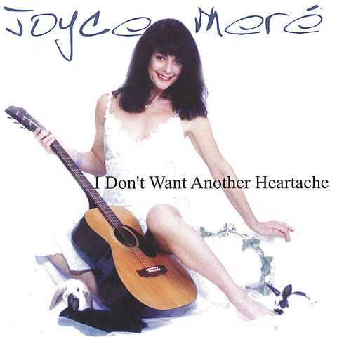 I Don't Want Another Heartache