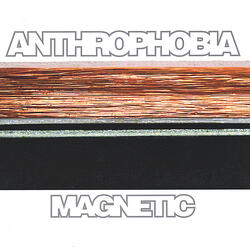 The Calming Effects Of Skydiving